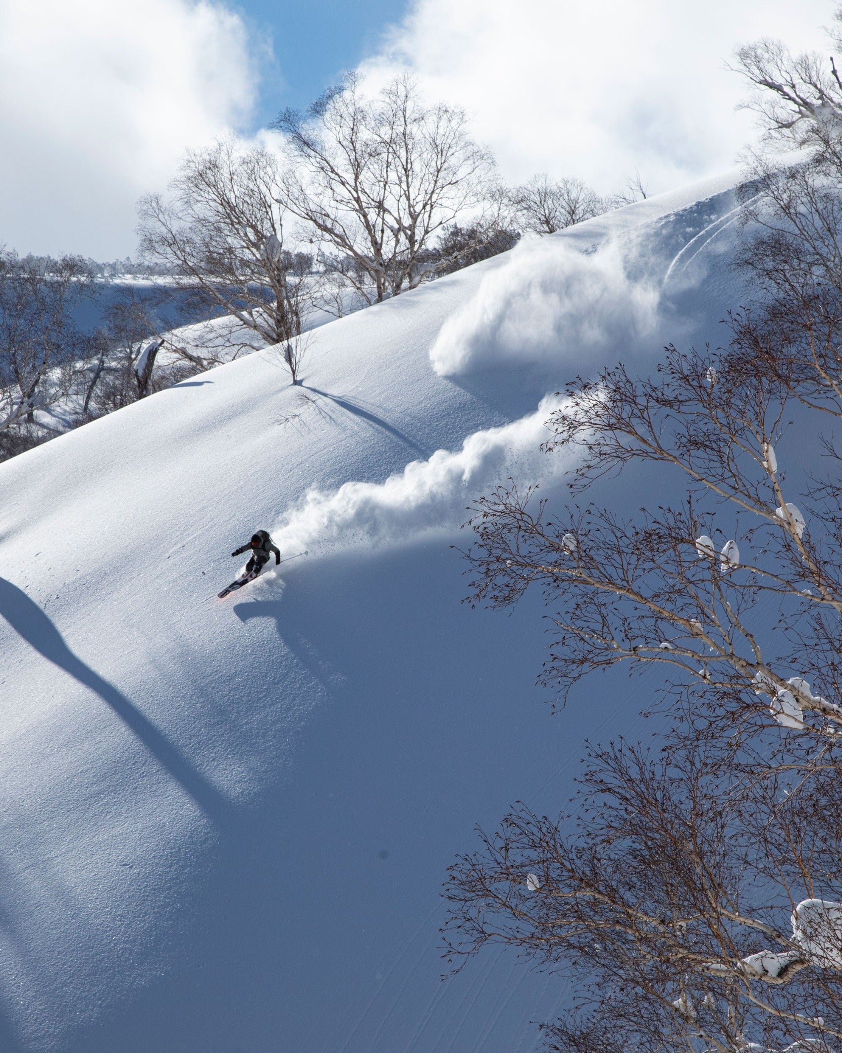 All Skis