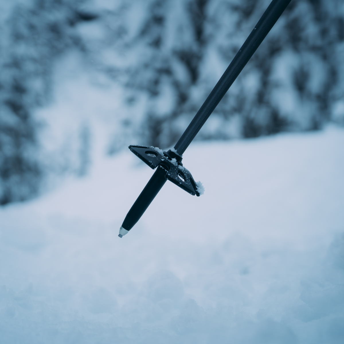 closeup shot of the tip of a ski pole