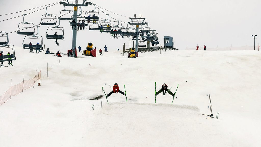 2018 Mogul Mash Recap