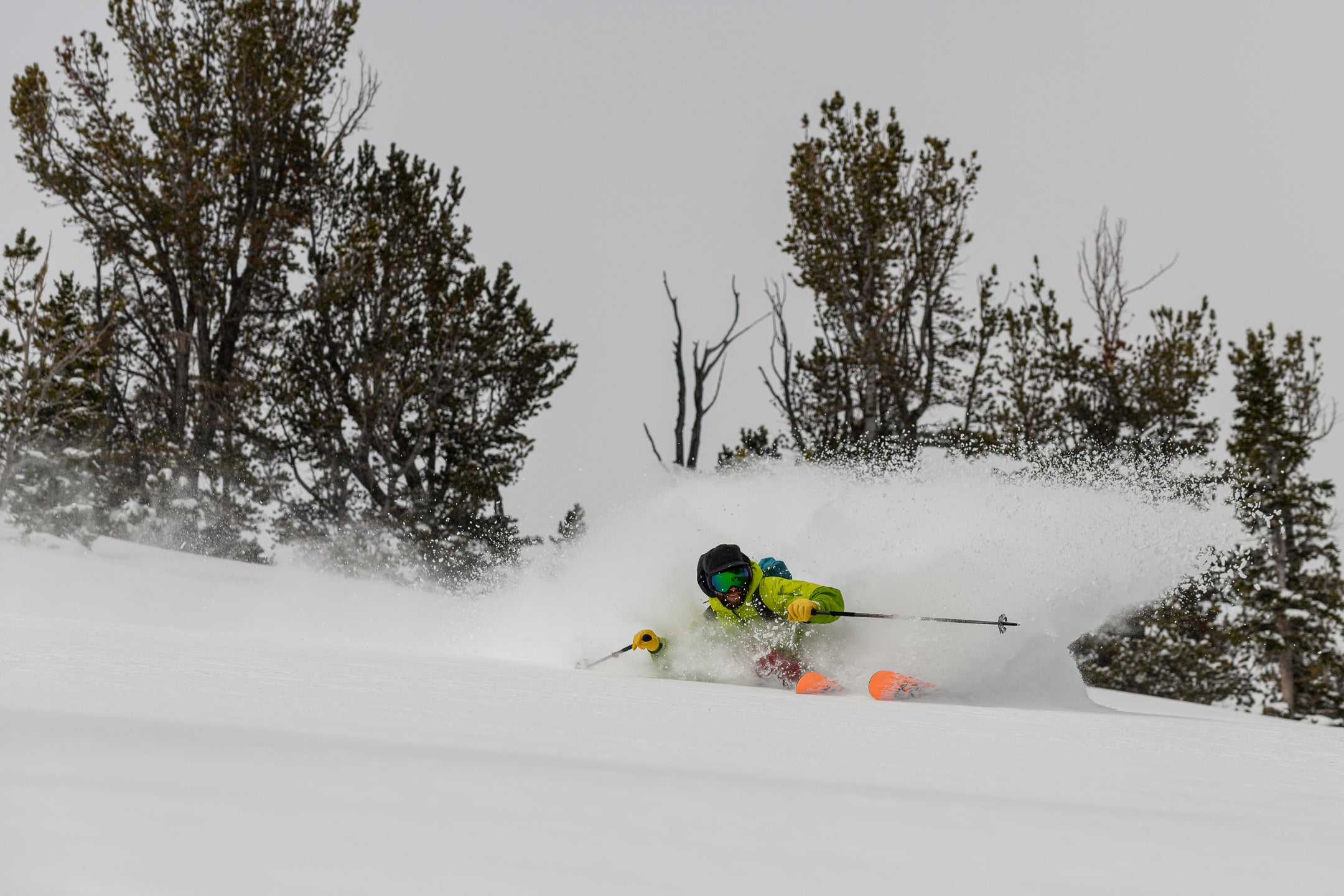 THE BIG MOUNTAIN BOSS OF SKIING - HOJI STYLE