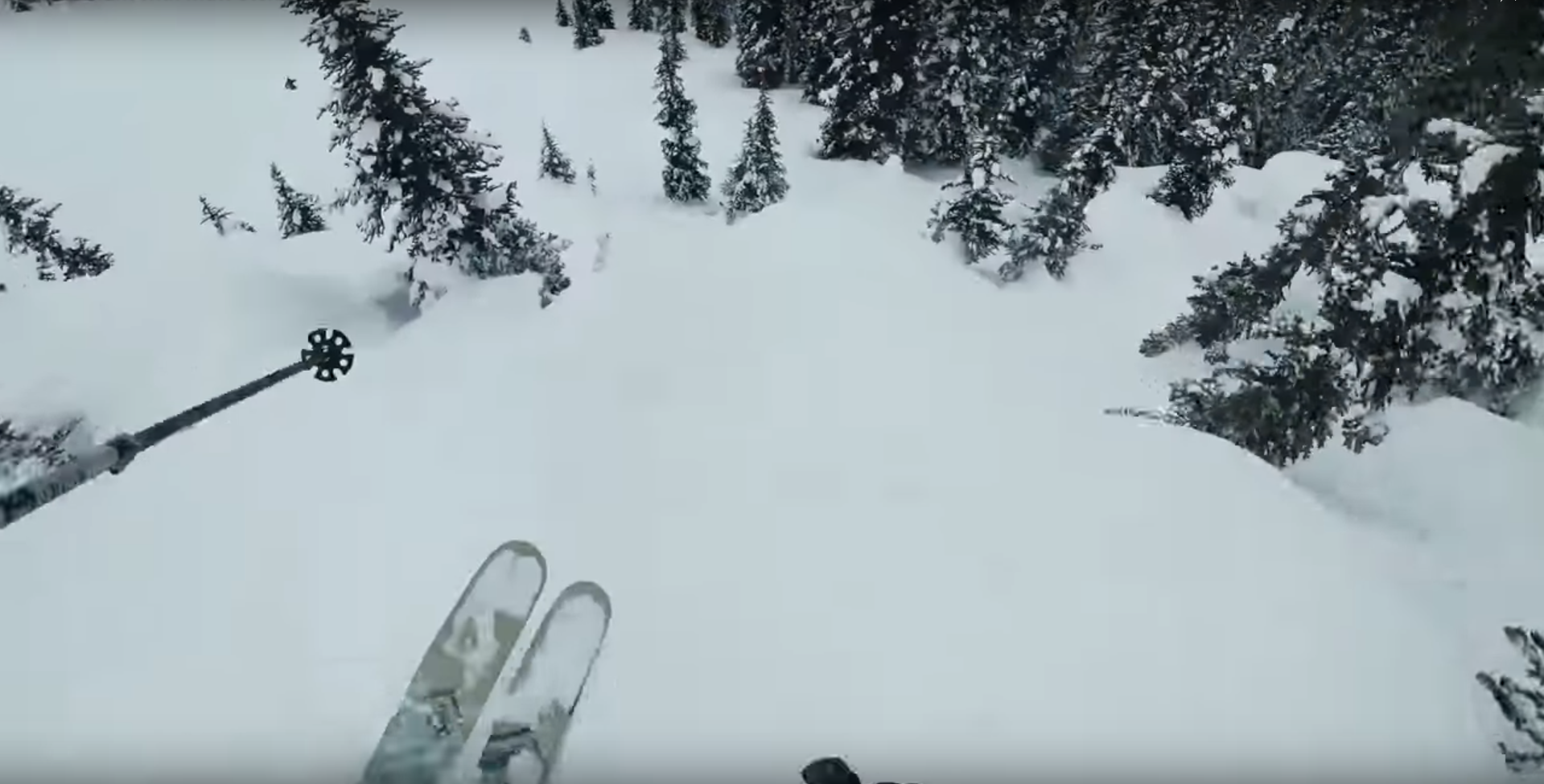 On The Hunt with Matt Sterbenz