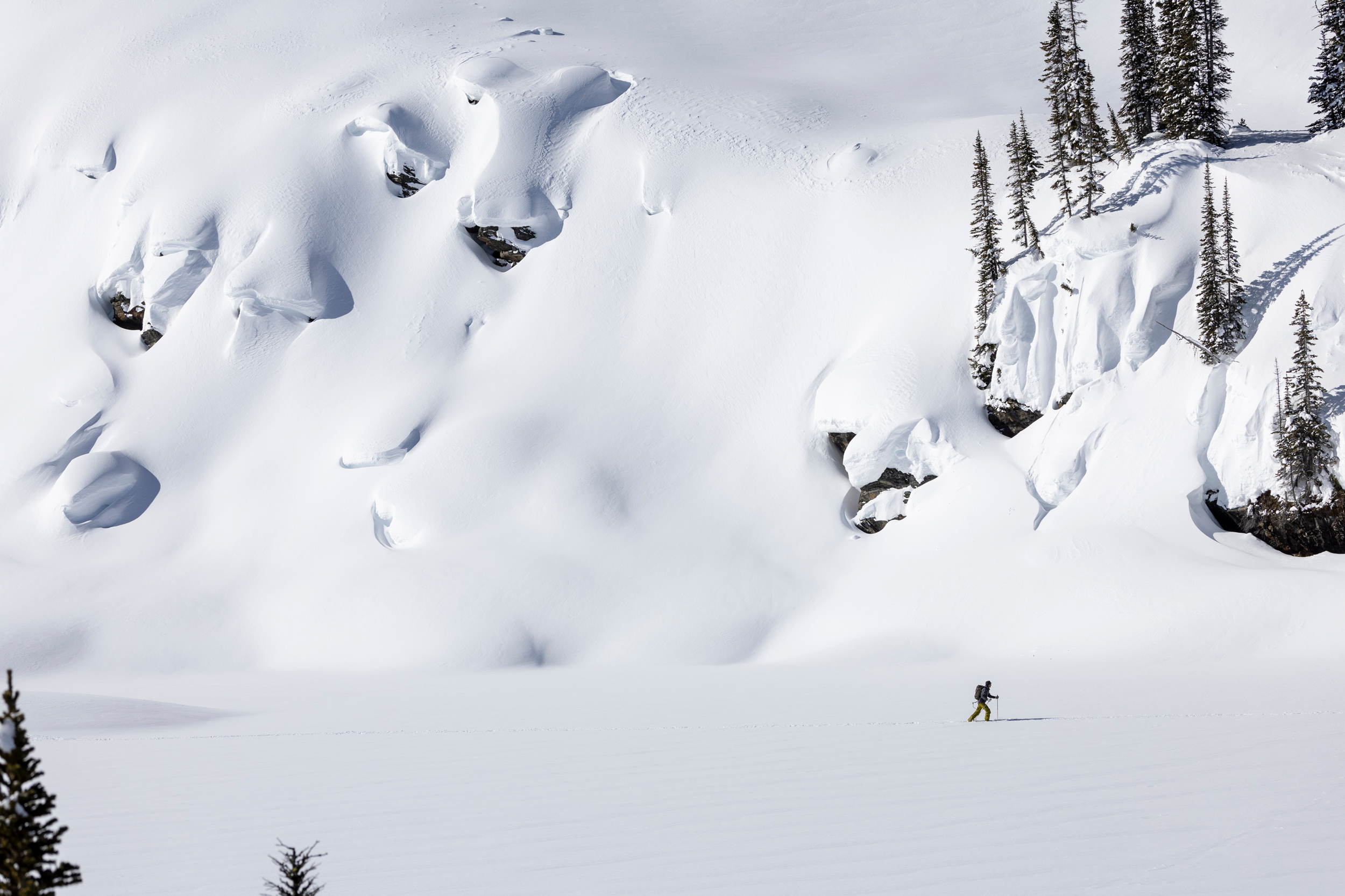 Stories from the FRNT - The Unsaid Shred Series: Part 2 of 4 - Library