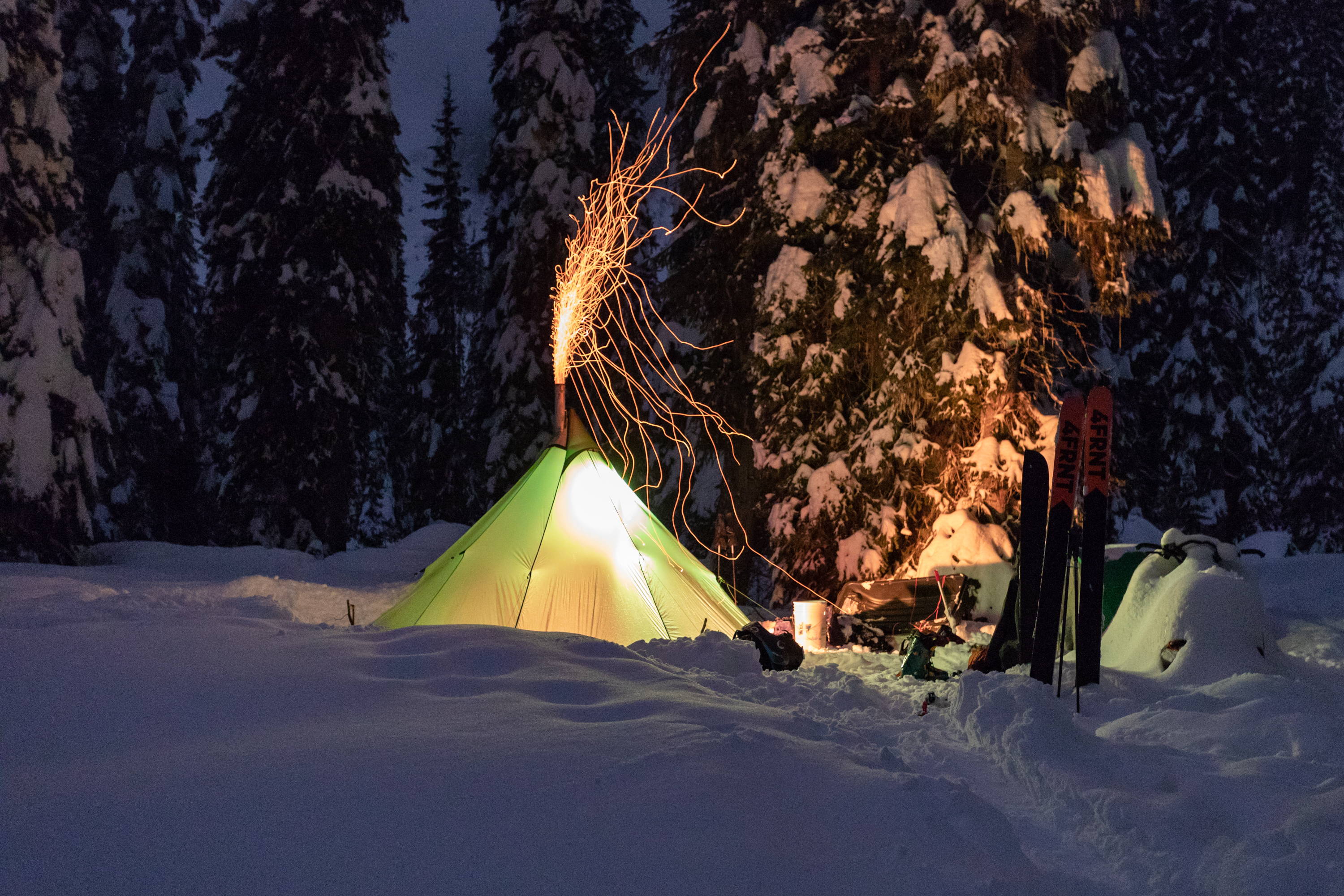 Into the Wild