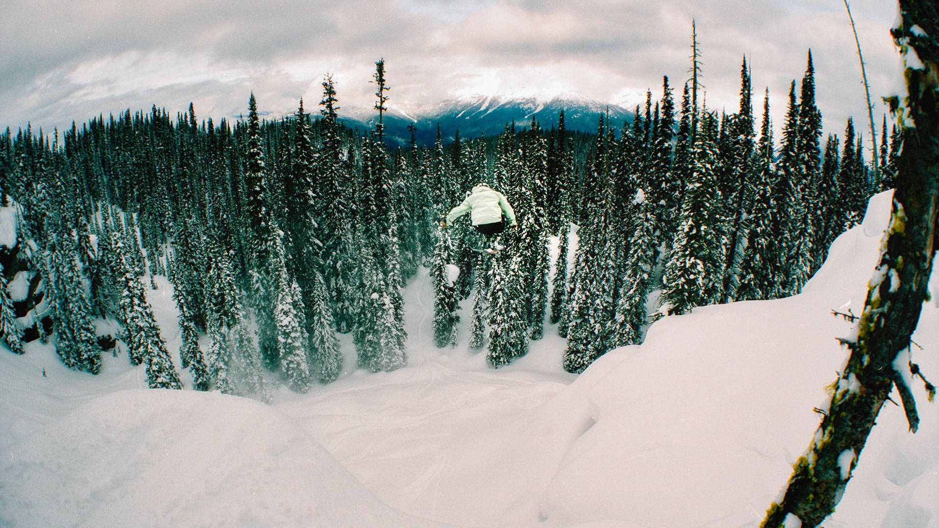 Tracking the Powder Phantom: Noah Maisonet