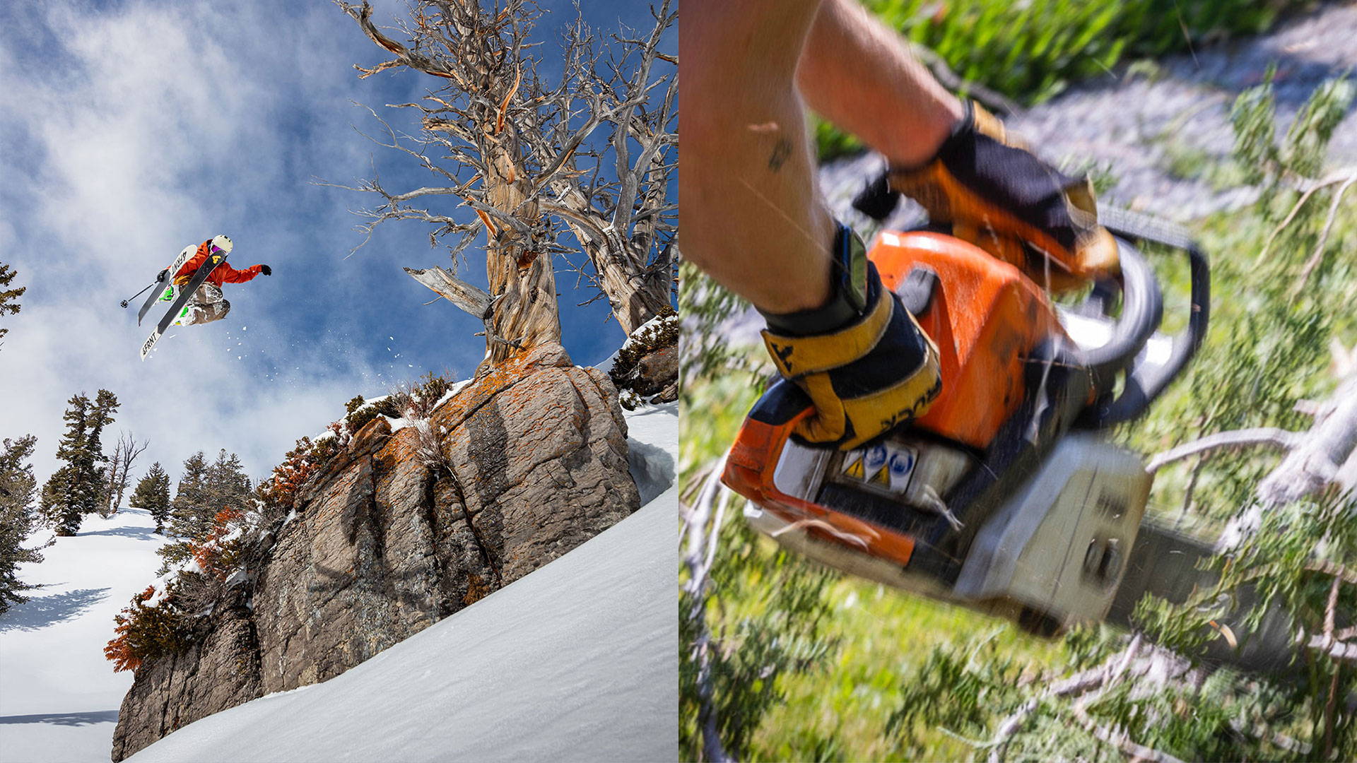 Working for the Winter : Thayne Rich