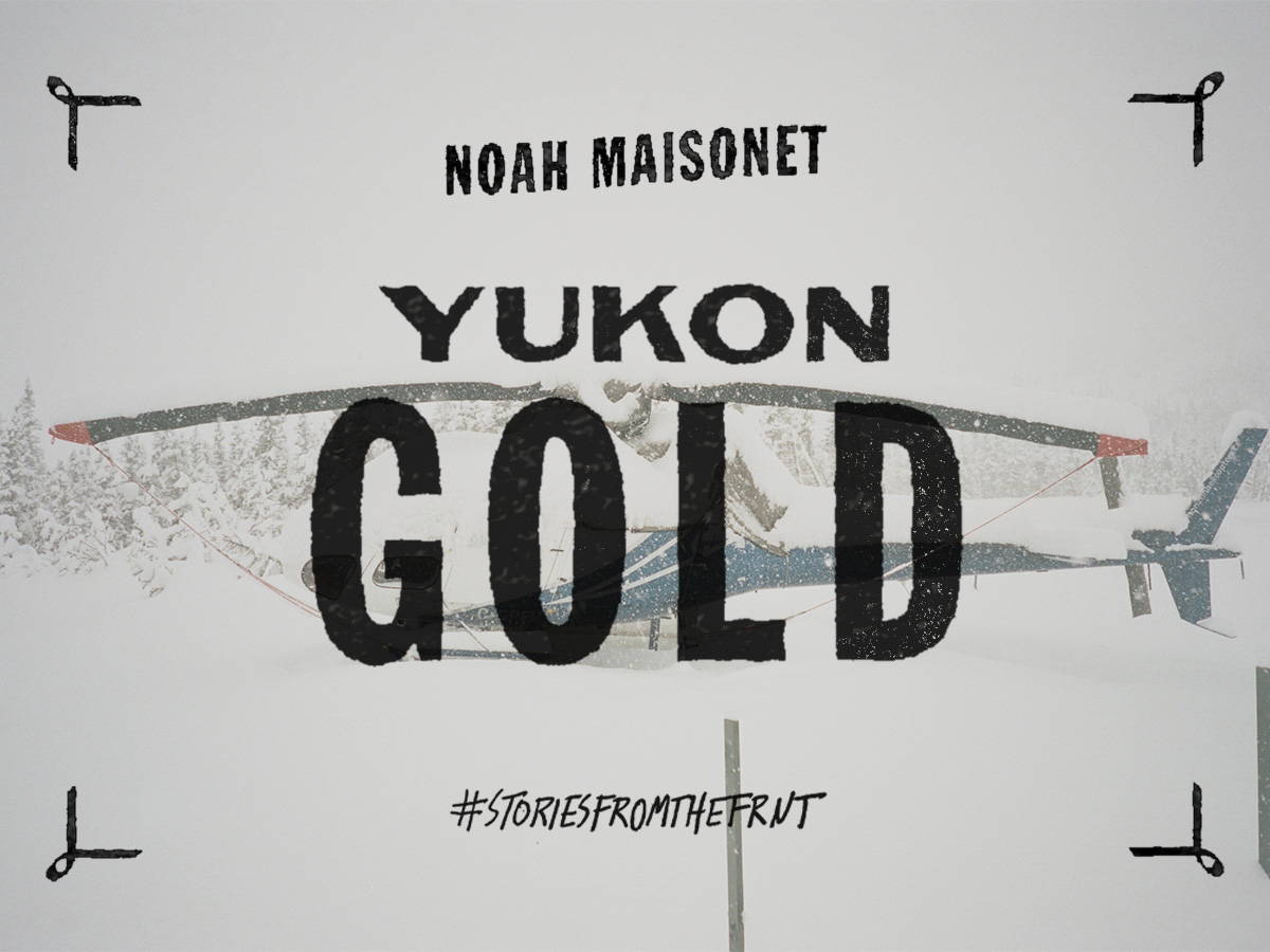 Yukon Gold