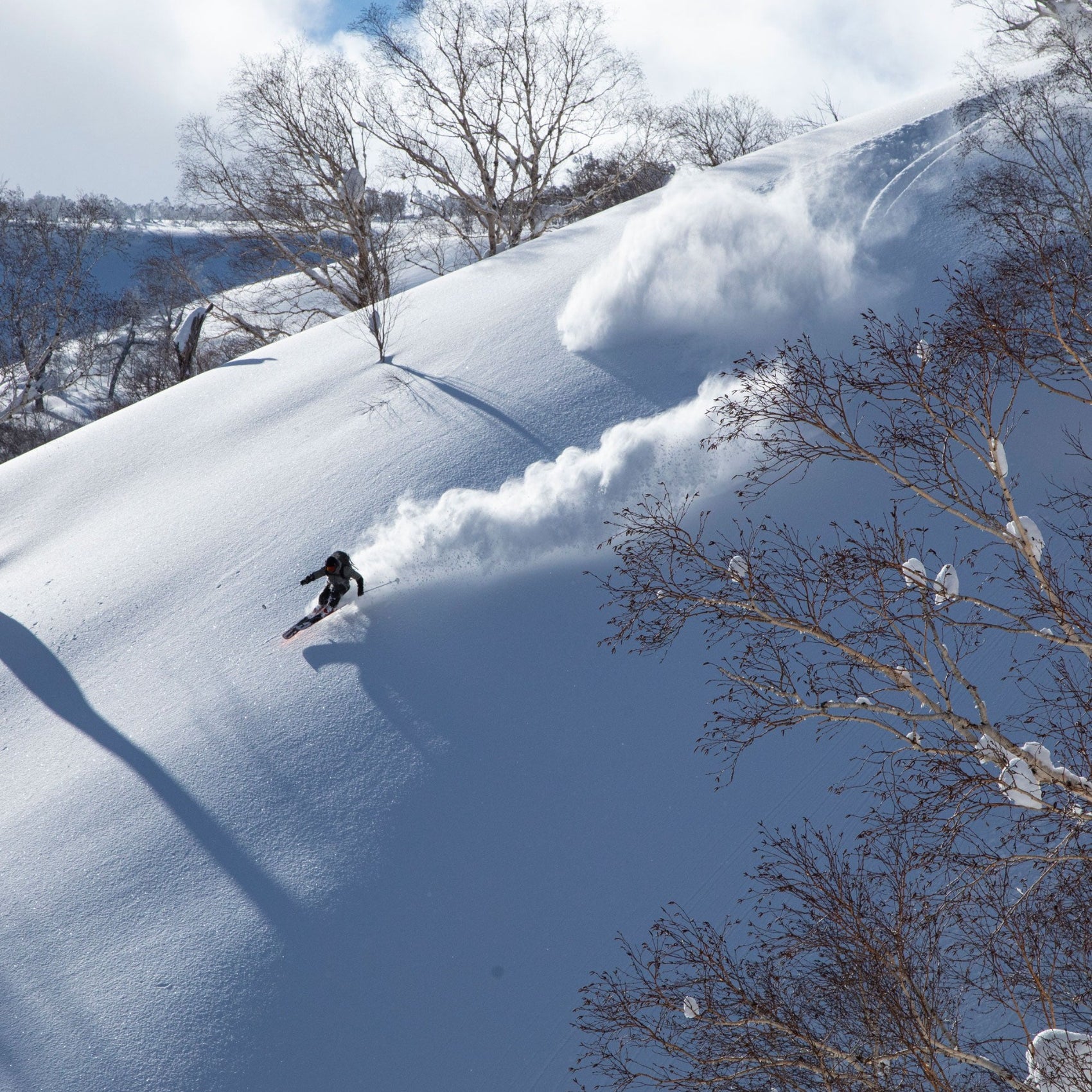 All Skis