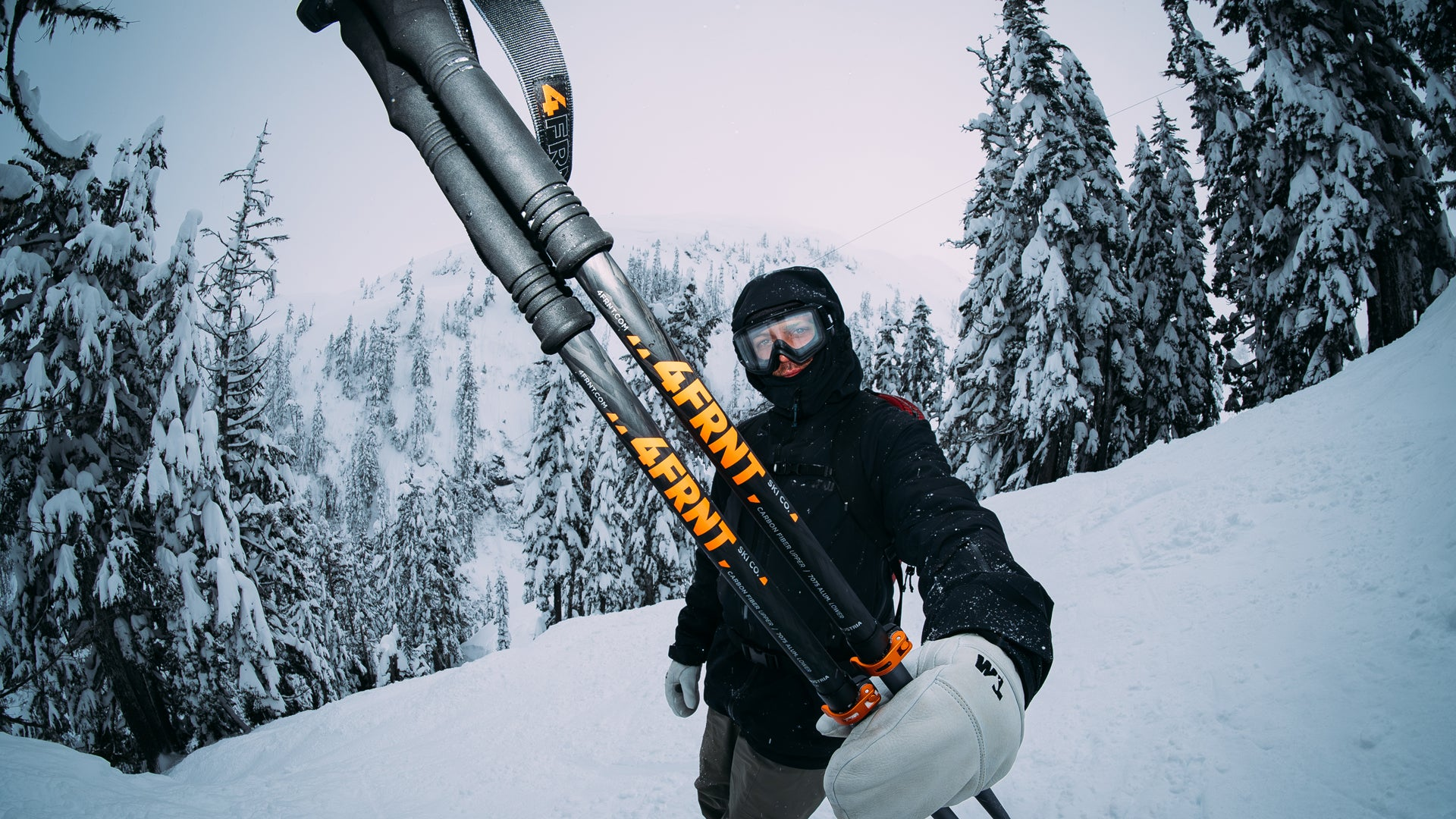 Ski Poles