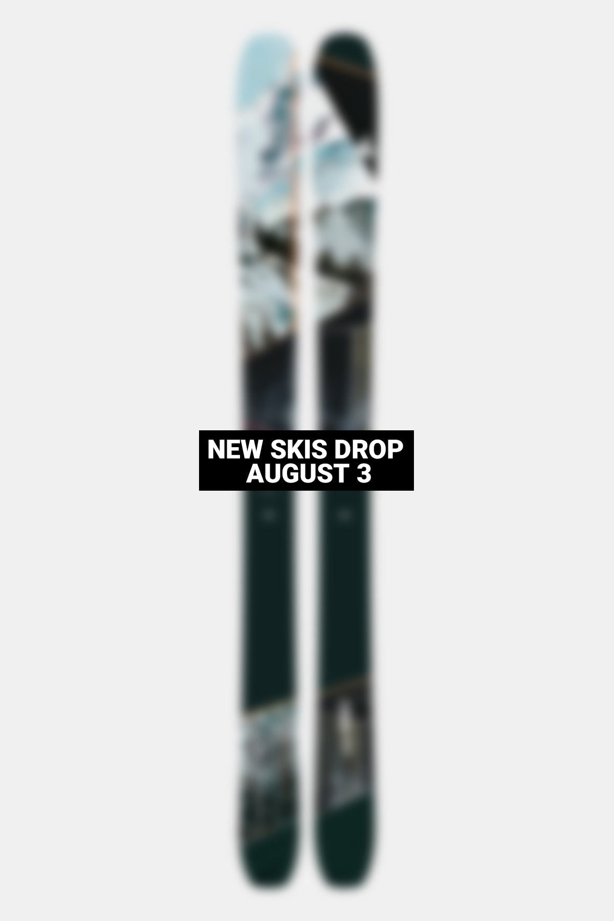 MSP10726Blurred_1.jpg